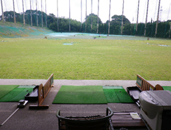 コロニーグローブの写真