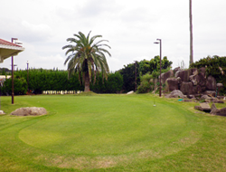 コロニーグローブの写真